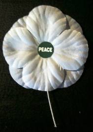 whitepoppy
